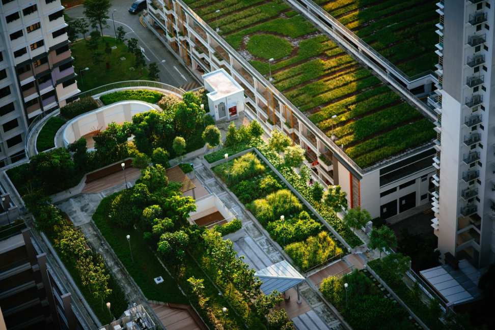 Green Urban Planning: Designing Sustainable Cities
